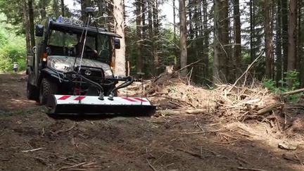 Corrèze : les fouilles pour retrouver les corps de soldats allemands ont commencé (France 3)