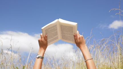 Lecture d'été
 (Aurelie and Morgan David de Lossy)