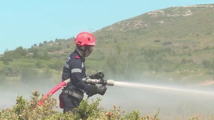 Aude : un incendie détruit 80 hectares de végétation (FRANCE 3)