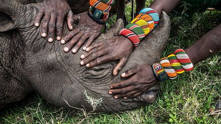 La photographe a vécu et travaillé dans le monde entier. Elle est exposé dans de nombreux pays et ses reportages publiés dans des journaux et des magazines prestigieux comme «GEO», «Newsweek», «The Guardian», le «New York Times», «Le Figaro»…  Saluée et reconnue par les professionnels de la photo, son regard se veut avant tout humaniste. A travers son travail sur le braconnage au Kenya, elle a voulu parler des communautés indigènes qui se retrouvent en première ligne dans les conflits qui opposent braconniers et gardes-chasse armés. (Ami Vitale)