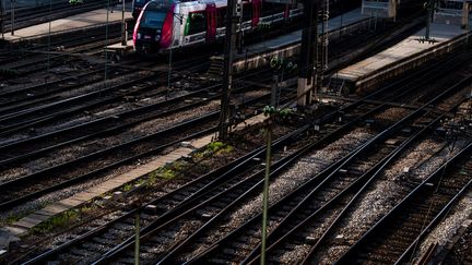 Ferroutage : ces camions qui prennent le train