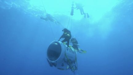 Journée mondiale de l’océan : les fonds marins dévoilés par Emmanuelle et Ghislain Bardout