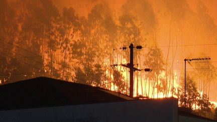 Face aux incendies qui ravagent une partie du pays, le Portugal appelle l'Europe à l’aide, et a donc déclenché la demande d’aide de sécurité civile européenne. Mardi 17 septembre, la France a envoyé deux Canadair.