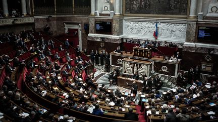 Séance à l'Assemblée nationale le 31 janvier 2017.&nbsp; (PHILIPPE LOPEZ / AFP)