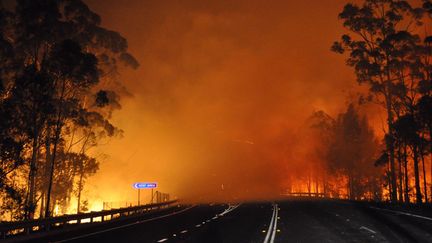 Un incendie fait des ravages le long d'une autoroute, mardi 8 janvier, dans la r&eacute;gion de Shoalhaven Heads, en Nouvelle-Galles du Sud&nbsp;(Australie). (NSW RURAL FIRE SERVICE / AFP)