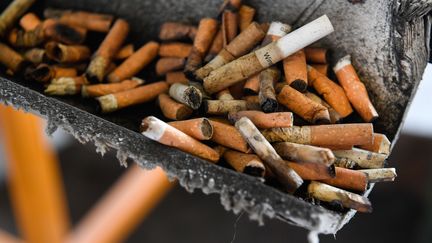 Des mégots de cigarettes photographiés dans une usine de recyclage à Bourg-Blanc (Finistère), le 29 mai 2018. (FRED TANNEAU / AFP)