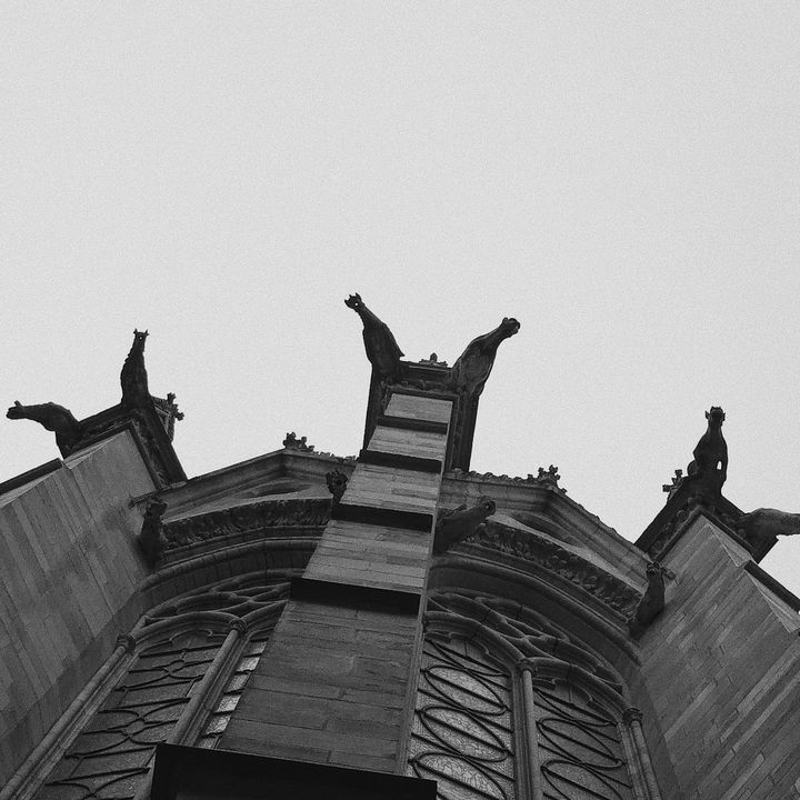 Les gargouilles de la Sainte Chapelle.&nbsp; (DAVID FRITZ-GOEPPINGER POUR FRANCEINFO)