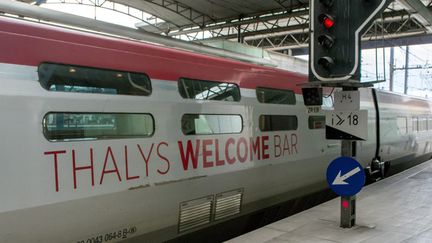 &nbsp; (Un vol de câbles côté belge a provoqué l'arrêt des Thalys © MaxPPP)