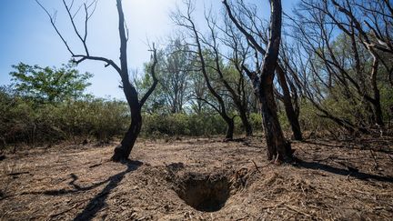 Un drone russe s'est écrasé près du village de Plauru, dans le Delta du Danube en Roumanie, le 12 septembre 2023. (MIHAI BARBU / AFP)