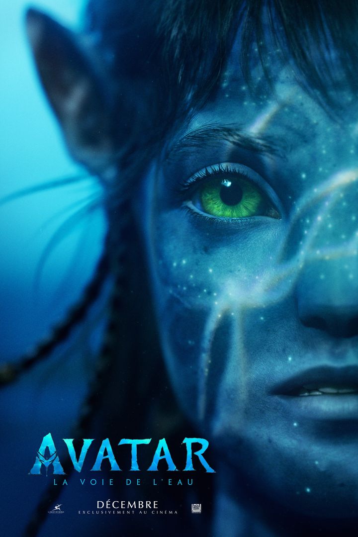 Réalisé par James Cameron, le film "Avatar : La Voie de l'eau" sortira en décembre prochain dans les salles obscures en France. (TWENTIETH CENTURY STUDIOS)