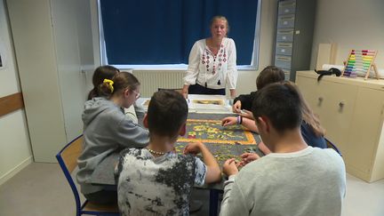 De la maison de retraite, aux écoles en passant par la Gendarmerie, toute la commune s'est lancée ce défi. (France 3 Picardie)