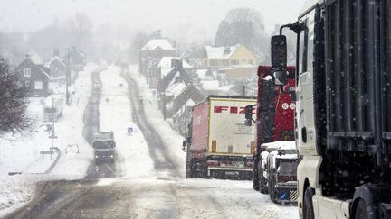 Des camions bloqu&eacute;s le long de la route pr&egrave;s de Rouffigny (Manche), le 12 mars 2013. (ALAIN JOCARD / AFP)