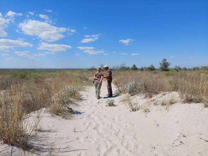 Iryna Vykhrystiuk et Ivan Rusev dans la réserve naturelle des Limans de Tuzly, au bord de la mer Noire en Ukraine. (JULIE PIETRI / RADIO FRANCE)