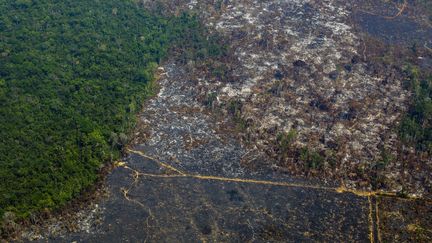 La déforestation de l'Amazonie dans la réserve biologique Nascentes da Serra do Cachimbo, au Brésil, le 28 août 2019. (JOAO LAET / AFP)