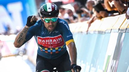 L'Italien Sonny Colbrelli a remporté les championnats d'Europe de cyclisme sur route à Trente, dimanche 12 septembre 2021. (DAVID STOCKMAN / BELGA / AFP)