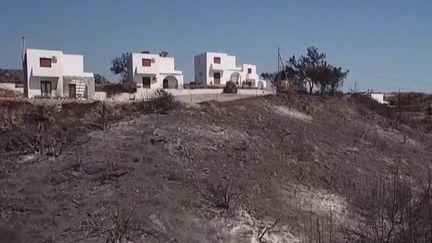 En Grèce, les incendies continuent toujours sur l'île de Rhodes. Présente sur l'île, vendredi 28 juillet, la journaliste Odile Longueval explique cependant que "la situation semble s'améliorer", et que "les premiers retours sur les lieux qui ont été évacués sont possibles". (France 2)