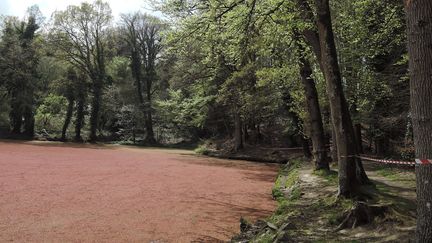 L'étang du château de la Coste, à Saint-Julien (Côtes d'Armor), recouvert par une plante aquatique invasive, le 22 avril 2016. (FRANCOIS DAVID / BASSINS VERSANTS)