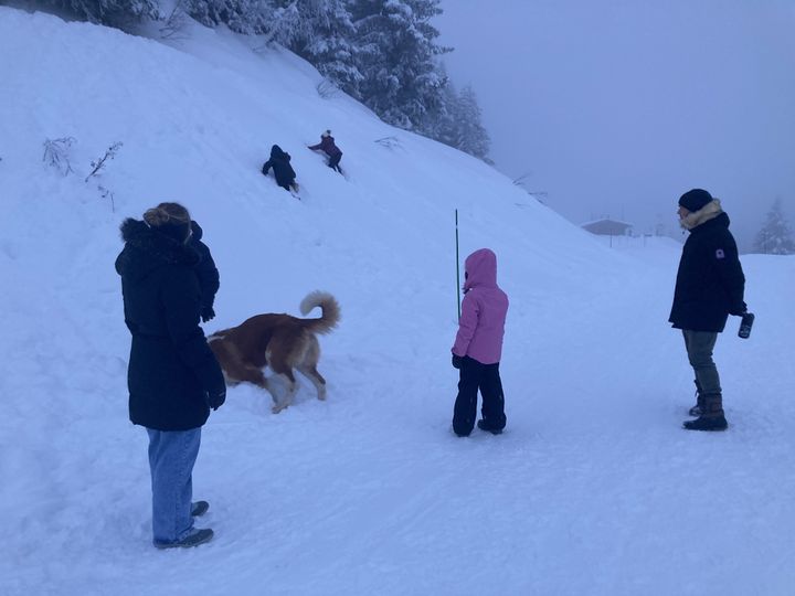 The Saint Bernard has a rescue instinct.  It can find individuals buried up to eight meters under the snow.  It measures up to 90 cm and can reach 90 kg.  (INGRID POHU / RADIOFRANCE)