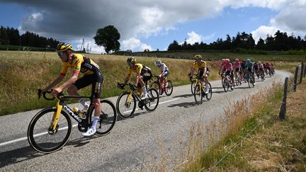 Les coureurs du Criterium du Dauphiné&nbsp;lors de la première étape&nbsp;La Voulte-sur-Rhône&nbsp;- Beauchastel, le 6 juin 2022. (MARCO BERTORELLO / AFP)