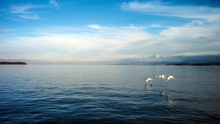 Vue sur le Lac Léman, en 2015. Image d'illustration. (PHILIPPE TRIAS / MAXPPP)