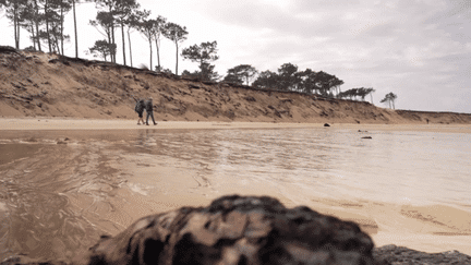 La Teste-de-Buch : la plage à nouveau accessible aux promeneurs (FRANCE 3)