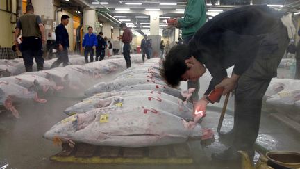 Tokyo : le marché aux poissons de Tsukiji déménage