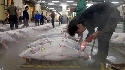 Le plus grand march&eacute; au thon du monde se trouve &agrave; Tokyo (Japon), dans le quartier de Tsukiji. On y tient des ench&egrave;res d&egrave;s 5 heures du matin. (MICHAEL CARONNA / MAXPPP)