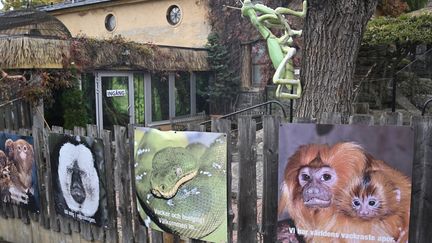 Le zoo de Skansen à Stockholm, en Suède, photographié le 24 octobre 2020.&nbsp; (HENRIK MONTGOMERY / TT NEWS AGENCY / AFP)