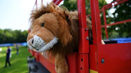 Leo le lion, mascotte de l'équipe d'Angleterre, photographiée le 7 juin 2016 à Chantilly (Oise). (PAUL ELLIS / AFP)