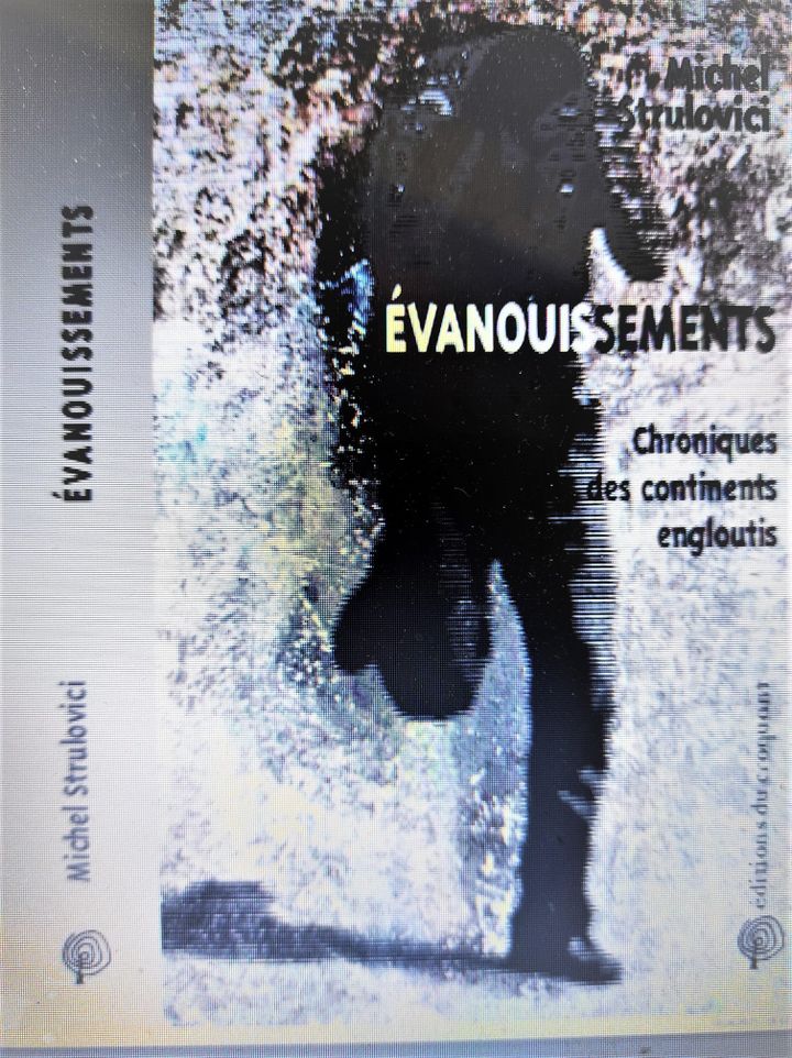 Couverture de Evanouissements. Edition du Croquant&nbsp; (Edition du Croquant)