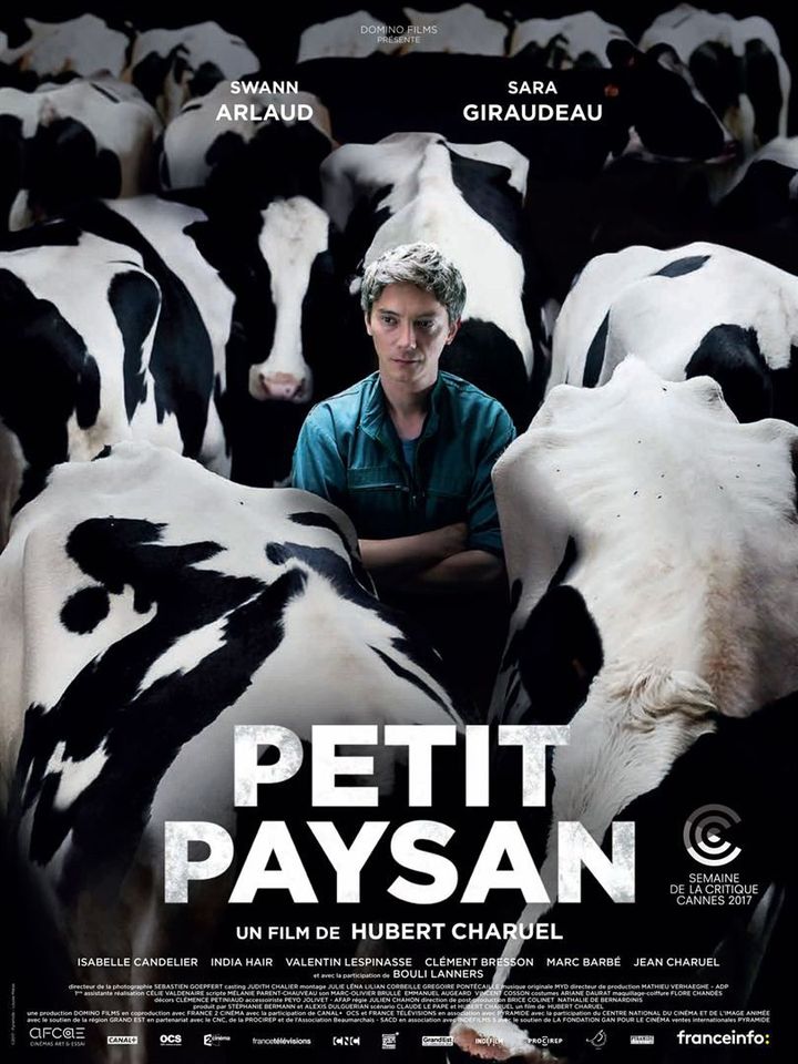 "Petit paysan" l'affiche
 (Pyramide Distribution)