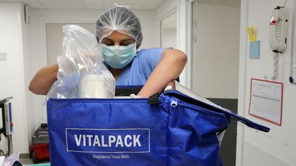 Des organes sont disposés dans une valise isotherme, à Colmar, en 2017. (VANESSA MEYER / MAXPPP)