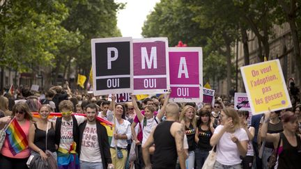 Des pancartes en faveur de la PMA lors de la Gay pride de Paris le 29 juin 2013. (LIONEL BONAVENTURE / AFP)