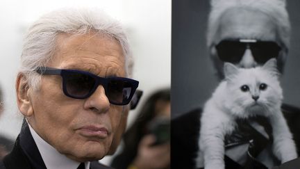 "Elle a sa propre petite fortune, c'est une héritière: s'il m'arrive quelque chose, la personne qui s'en occupera ne sera pas dans la misère." Etonnante confession de Karl Lagerfld, le 24 février 2015, sur le divan de Marc-Olivier Fogiel sur France 3. Cette "elle", c'est sa chatte Choupette. La star de la haute-couture, dont la mort a été annoncée le 19 février 2019, vouait à l'animal un véritable amour, à tel point que "si elle va chez le docteur pendant deux heures, il trouve que l'atelier est mort". "Choupette est une fille riche!", lançait-il, pour le plus grand étonnement de l'animateur. La chatte blanche aux yeux bleus a notamment participé à de nombreuses campagnes de publicité qui lui ont rapporté de l'argent. Un argent qui lui a été placé et réservé pour elle à la mort du couturier.

Rien qu'en 2014, la chatte a ainsi amassé trois millions d'euros, grâce à des contrats avec "une marque de voiture allemande" et une marque "de produits de beauté japonais", précise Vanity Fair. L'animal possède même des comptes sur Twitter, Instagram, et Facebook.