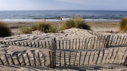 Jobs d'été : des saisonniers pour nettoyer les plages