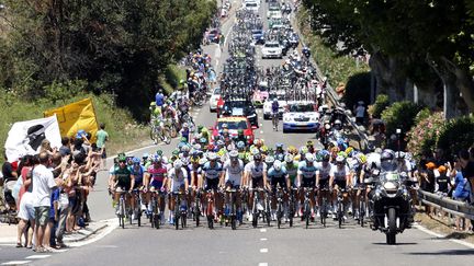 Le peloton du Tour de France, lors de l'&eacute;tape Bastia-Ajaccio, le 30 juin 2013.&nbsp; (JEAN-PAUL PELISSIER / REUTERS)