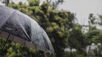 Parapluie sous la pluie. (UMA SHANKAR SHARMA / MOMENT RF / GETTY IMAGES)