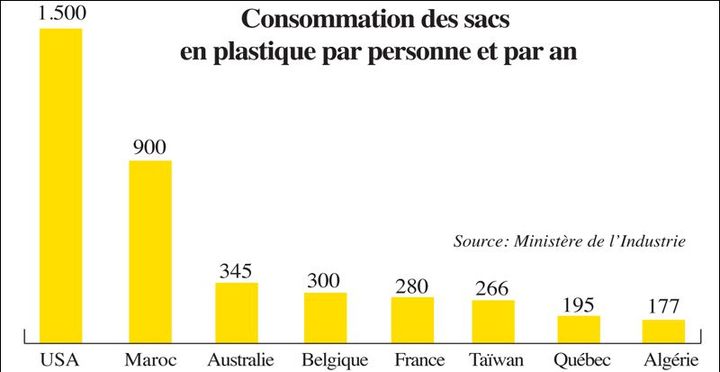 Consommation de sacs plastique. Le Maroc était un consommateur record. (www.leconomiste.com)