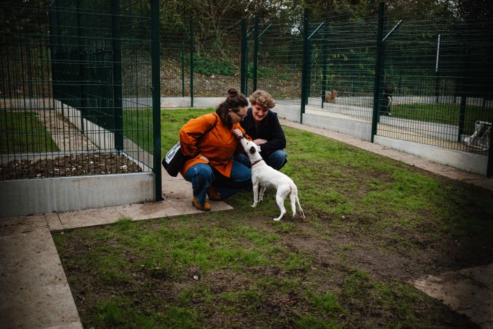 Un espace de sociabilisation du refuge de la SPA de Gennevilliers (Hauts-de-Seine). (DIMITAR DILKOFF / AFP)