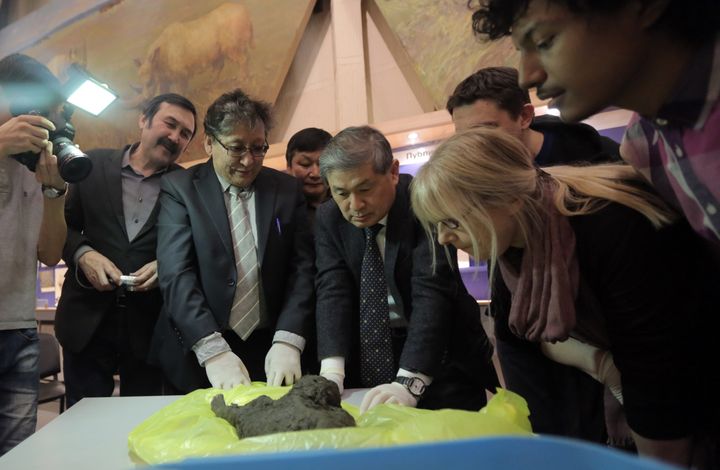 Des scientifiques rassemblés autour du corps momifié d'un chiot préhistorique, le 15 mars 2016 à Iakoutsk, en Russie. (AFP)