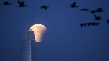 &nbsp; (JOSH EDELSON / AFP)