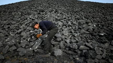 Un ouvrier trie du charbon près d'une mine à Datong (Chineà, le 2 novembre 2021.&nbsp; (NOEL CELIS / AFP)