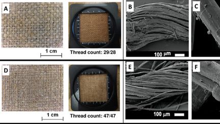 Études de différentes fibres de lin au microscope. (CNRS et Inrae)