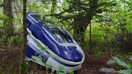 Photo published by the assisted dying group "The Last Resort" showing the capsule "Sarco" in a Swiss forest where it was used by a 64-year-old American woman on September 23, 2024. (HANDOUT / THE LAST RESORT)