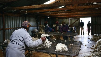 Tri de laine et de mohair dans la bergerie de Mokhotlong (massif de Drakensberg), au Lesotho, le 22 novembre 2016. (PLANCHARD ERIC / HEMIS.FR / HEMIS.FR)