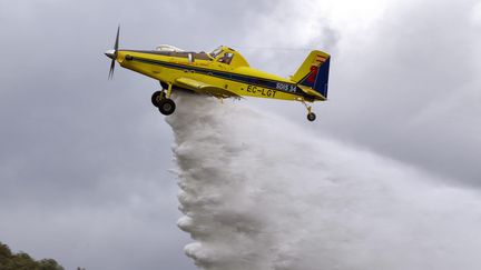 Démonstration d'un avion bombardier d'eau, le 6 juin 2019 (illustration). (GUILLAUME BONNEFONT / MAXPPP)