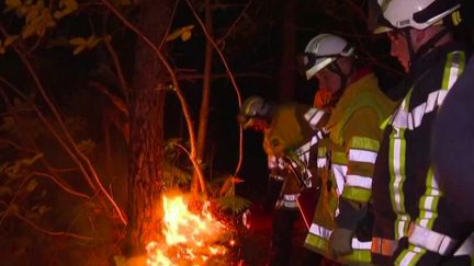 Cévennes :&nbsp;700 pompiers mobilisés dans un incendie (FRANCE 2)