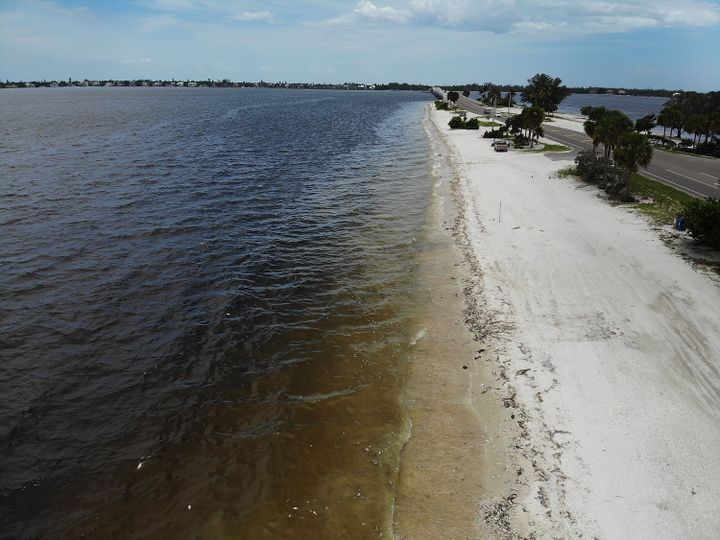 L'eau de mer noircie par un phénomène naturel appelé "marée rouge", le 1er août 2018, sur une plage à Sanibel en Floride. (JOE RAEDLE / AFP)