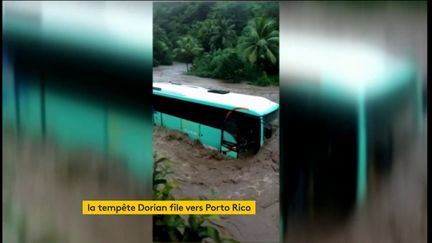 Un bus sur une route inondée par la tempête Dorian en Martinique (FRANCEINFO)