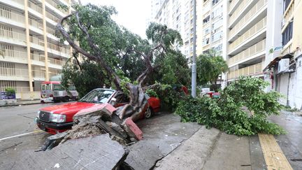 Après la tempête, les habitants de l'ancien comptoir britannique ont découvert d'importants dégâts, causés par des arbres déracinés. (EYEPRESS NEWS / AFP)